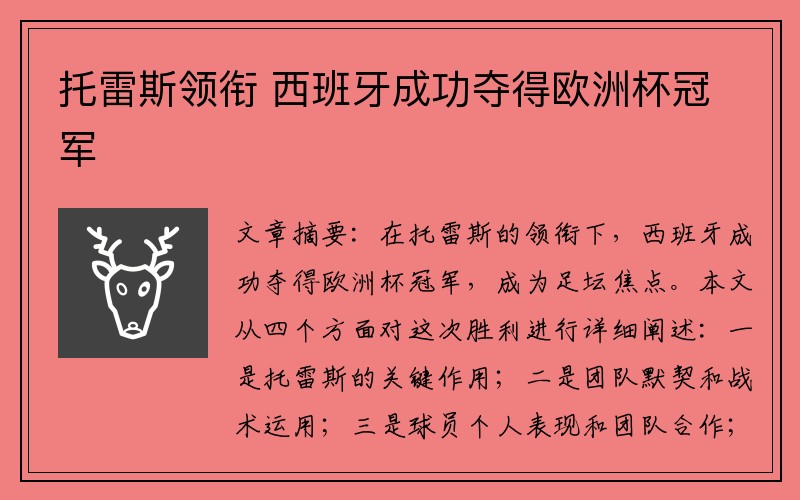 托雷斯领衔 西班牙成功夺得欧洲杯冠军