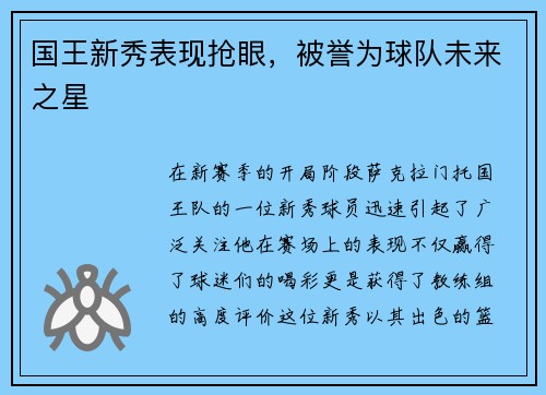 国王新秀表现抢眼，被誉为球队未来之星